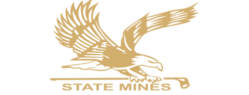 Website Logo